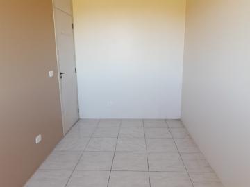 Alugar Apartamento / Padrão em Pelotas R$ 900,00 - Foto 9 Alugar Apartamento / Padrão em Pelotas R$ 900,00 - Foto 9