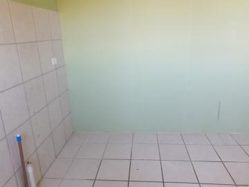 Alugar Apartamento / Padrão em Pelotas R$ 900,00 - Foto 12 Alugar Apartamento / Padrão em Pelotas R$ 900,00 - Foto 12