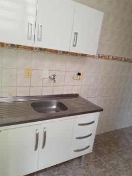 Alugar Casa / Padrão em Pelotas R$ 1.800,00 - Foto 19 Alugar Casa / Padrão em Pelotas R$ 1.800,00 - Foto 19