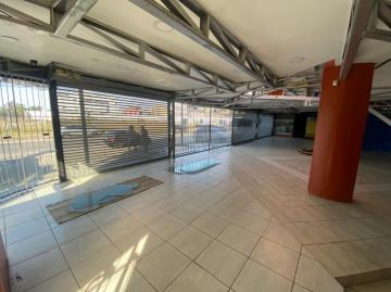Alugar Comercial / Prédio em Pelotas R$ 16.500,00 - Foto 8 Alugar Comercial / Prédio em Pelotas R$ 16.500,00 - Foto 8