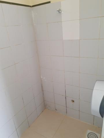 Alugar Casa / Padrão em Pelotas R$ 2.000,00 - Foto 26 Alugar Casa / Padrão em Pelotas R$ 2.000,00 - Foto 26