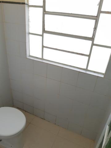 Alugar Casa / Padrão em Pelotas R$ 2.000,00 - Foto 28 Alugar Casa / Padrão em Pelotas R$ 2.000,00 - Foto 28