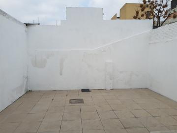 Alugar Casa / Padrão em Pelotas R$ 2.000,00 - Foto 23 Alugar Casa / Padrão em Pelotas R$ 2.000,00 - Foto 23