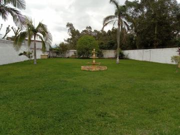 Alugar Casa / Padrão em Pelotas R$ 4.000,00 - Foto 3 Alugar Casa / Padrão em Pelotas R$ 4.000,00 - Foto 3