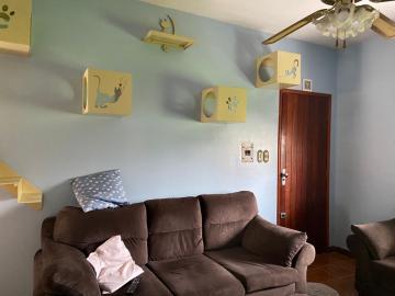 imagem 3 - Oportunidade Única! Casa Espaçosa com Terreno Amplo no Valverde imagem 3 - Oportunidade Única! Casa Espaçosa com Terreno Amplo no Valverde