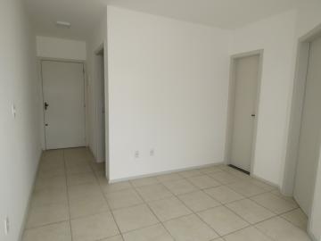 imagem 3 - Apartamento de 1 quarto no centro imagem 3 - Apartamento de 1 quarto no centro