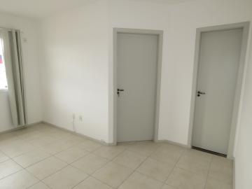 imagem 2 - Apartamento no centro de 1 quarto imagem 2 - Apartamento no centro de 1 quarto