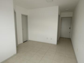 Apartamento no centro de 1 quarto