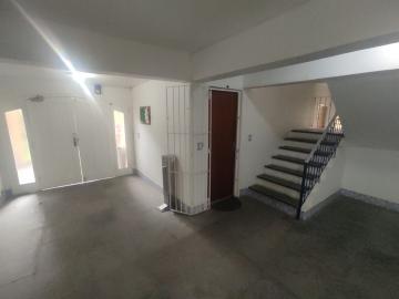 imagem 3 - Apartamento Térreo em Excelente Localização: 3 Quartos, Peças Amplas, Pátio Privativo e 2 Vagas de Garagem imagem 3 - Apartamento Térreo em Excelente Localização: 3 Quartos, Peças Amplas, Pátio Privativo e 2 Vagas de Garagem