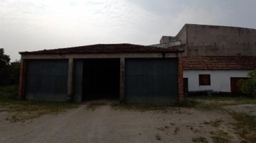 Alugar Casa / Padrão em Pelotas. apenas R$ 3.000.000,00