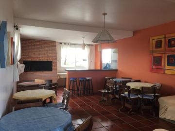 imagem 1 - Apartamento Próximo a Dom Joaquim - Ensolarado e com Sacada! imagem 1 - Apartamento Próximo a Dom Joaquim - Ensolarado e com Sacada!