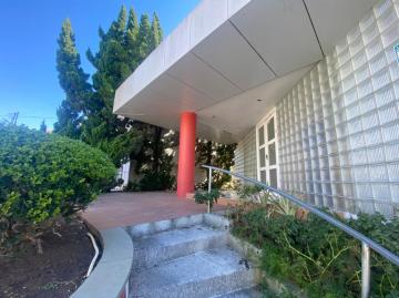 Pelotas Areal Imovel Locacao R$ 8.800,00  10 Vagas Area construida 190.00m2