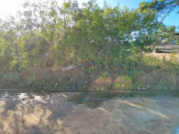 imagem 1 - Terreno - Padrão imagem 1 - Terreno - Padrão