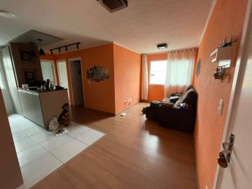 Alugar Apartamento / Padrão em Pelotas. apenas R$ 850,00