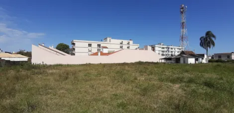 imagem 1 - Oportunidade Única: Terreno Espaçoso com Casa Construída em Localização Estratégica imagem 1 - Oportunidade Única: Terreno Espaçoso com Casa Construída em Localização Estratégica