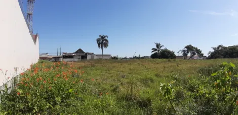 Oportunidade Única: Terreno Espaçoso com Casa Construída em Localização Estratégica