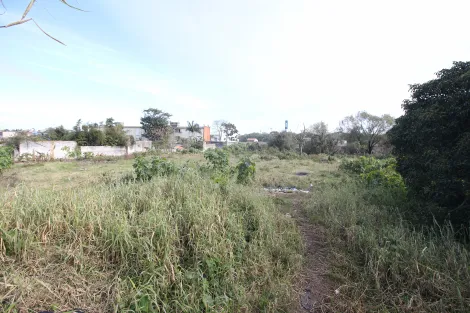 imagem 1 - Excelente Oportunidade de Locação de Terreno no Bairro Centro de Pelotas/RS imagem 1 - Excelente Oportunidade de Locação de Terreno no Bairro Centro de Pelotas/RS
