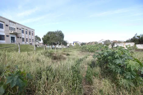 imagem 2 - Excelente Oportunidade de Locação de Terreno no Bairro Centro de Pelotas/RS imagem 2 - Excelente Oportunidade de Locação de Terreno no Bairro Centro de Pelotas/RS