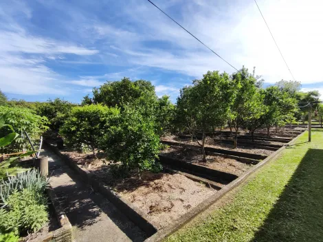 imagem 3 - Casa - Padrão imagem 3 - Casa - Padrão