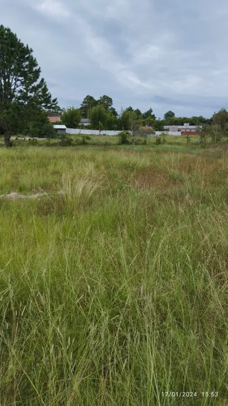 imagem 1 - Este terreno está situado na tranquila e charmosa Vila Judith, no renomado bairro Laranjal em Pelotas. Desfrute da atmosfera acolhedora deste bairro residencial. imagem 1 - Este terreno está situado na tranquila e charmosa Vila Judith, no renomado bairro Laranjal em Pelotas. Desfrute da atmosfera acolhedora deste bairro residencial.