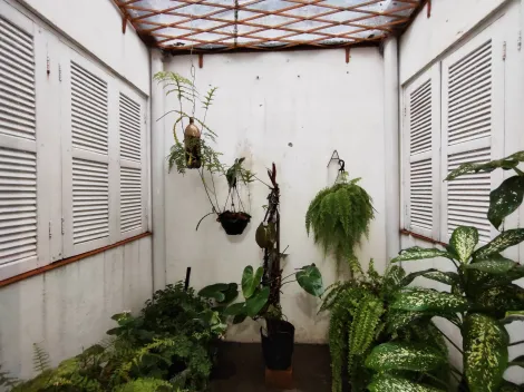 imagem 5 - Ótima oportunidade de adquirir uma casa pronta para morar na General Osório. Esta casa é toda com grade, possui lavanderia e dois quartos, oferecendo conforto e segurança para toda a família. imagem 5 - Ótima oportunidade de adquirir uma casa pronta para morar na General Osório. Esta casa é toda com grade, possui lavanderia e dois quartos, oferecendo conforto e segurança para toda a família.