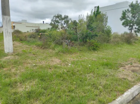 imagem 2 - Terreno à venda no loteamento Amarilis ? Oportunidade Única! imagem 2 - Terreno à venda no loteamento Amarilis ? Oportunidade Única!