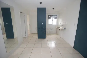 imagem 5 - Apartamento de 2 Dormitórios com Varanda e Churrasqueira no Residencial das Flores - Fragata, Pelotas imagem 5 - Apartamento de 2 Dormitórios com Varanda e Churrasqueira no Residencial das Flores - Fragata, Pelotas