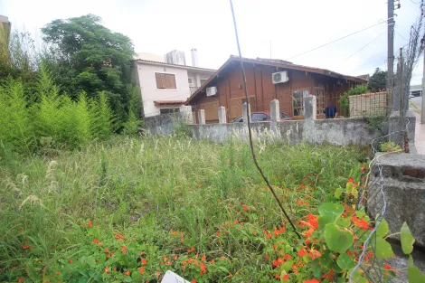 imagem 4 - Aluguel de Terreno - Bairro Três Vendas, Próximo à Avenida Dom Joaquim imagem 4 - Aluguel de Terreno - Bairro Três Vendas, Próximo à Avenida Dom Joaquim