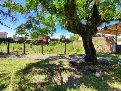 imagem 1 - Terreno a venda no Balneário dos Prazeres, de 258,33m². imagem 1 - Terreno a venda no Balneário dos Prazeres, de 258,33m².