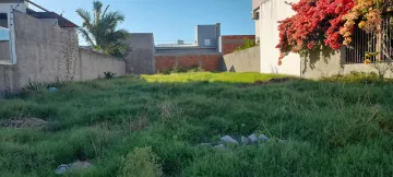 imagem 1 - Terreno a venda no loteamento Amarílis de 250m². imagem 1 - Terreno a venda no loteamento Amarílis de 250m².