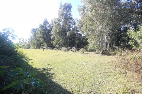 imagem 3 - Terreno Comercial Estratégico na Entrada de Pelotas - 10.000 m² em Localização Privilegiada imagem 3 - Terreno Comercial Estratégico na Entrada de Pelotas - 10.000 m² em Localização Privilegiada