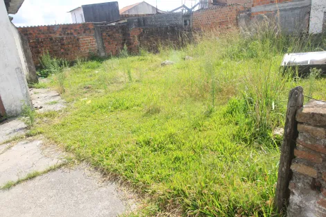 imagem 1 - Casa - Padrão imagem 1 - Casa - Padrão